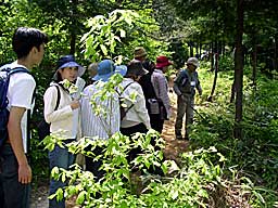 �����̐X�ώ@��